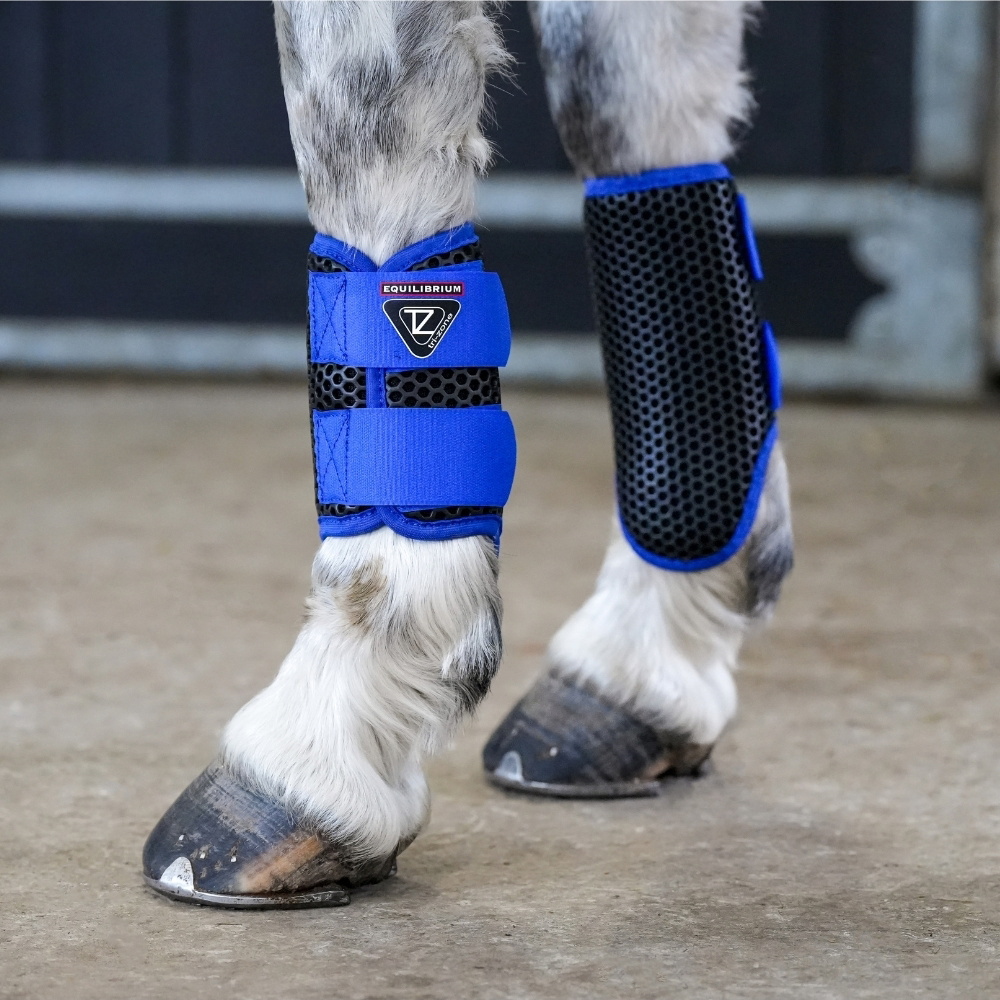 Equilibrium Tri-Zone Brushing Boot 8546 - Royal Blue